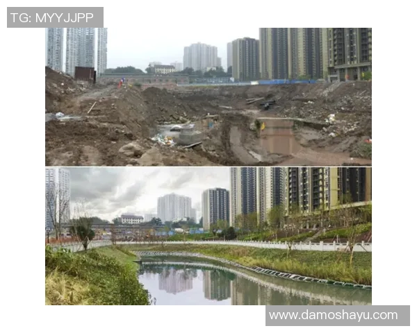 河南经济与重庆经济的比较分析及发展前景探讨 河南经济与重庆经济的比较分析及发展前景探讨