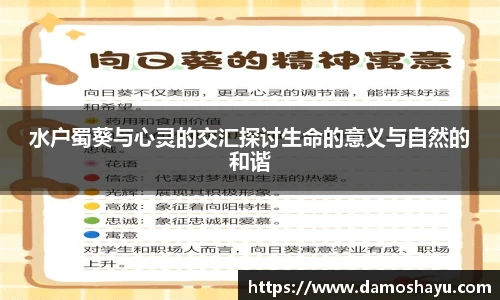水户蜀葵与心灵的交汇探讨生命的意义与自然的和谐
