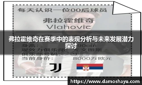 弗拉霍维奇在赛季中的表现分析与未来发展潜力探讨